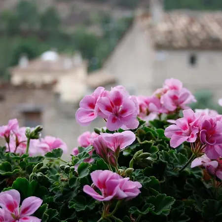 Rosella De Rubielos Prázdninový dům *