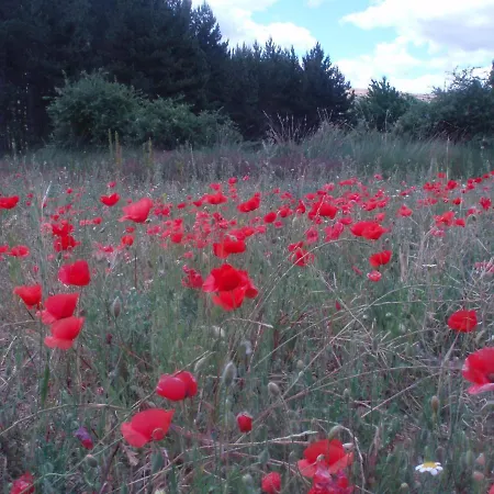 Prázdninový dům Rosella De Rubielos