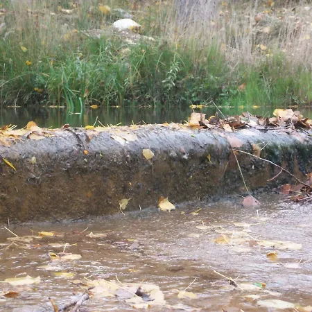 Rosella De Rubielos Fuentes de Rubielos