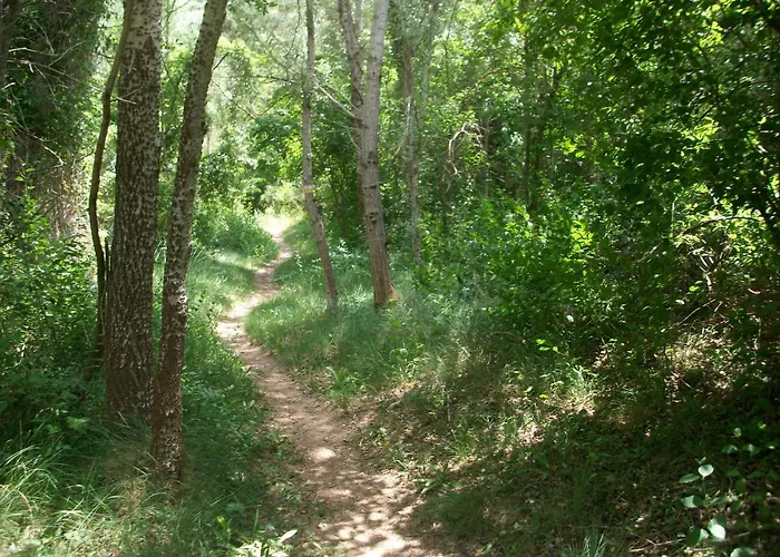 Rosella De Rubielos * Fuentes de Rubielos