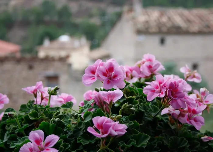 Rosella De Rubielos Holiday home *