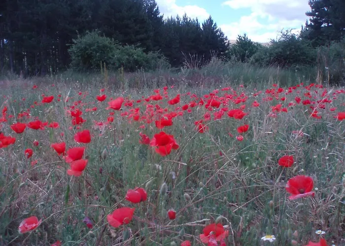 Holiday home Rosella De Rubielos