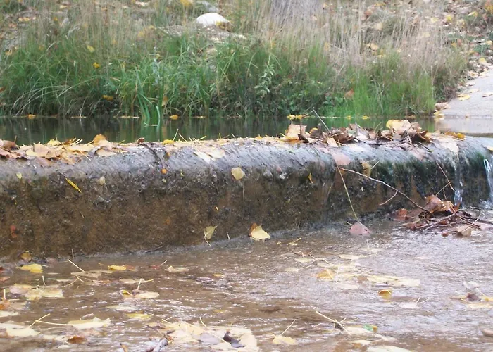 Rosella De Rubielos Fuentes de Rubielos